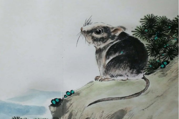 十二生肖排序图片