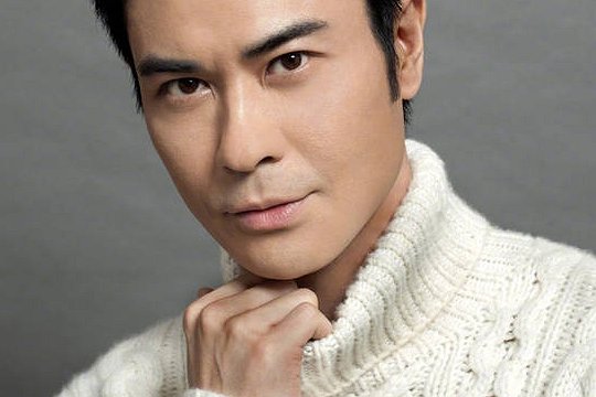 郑嘉颖主演的电视剧有哪些