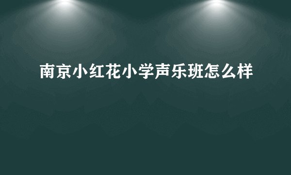 南京小红花小学声乐班怎么样
