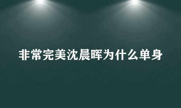 非常完美沈晨晖为什么单身