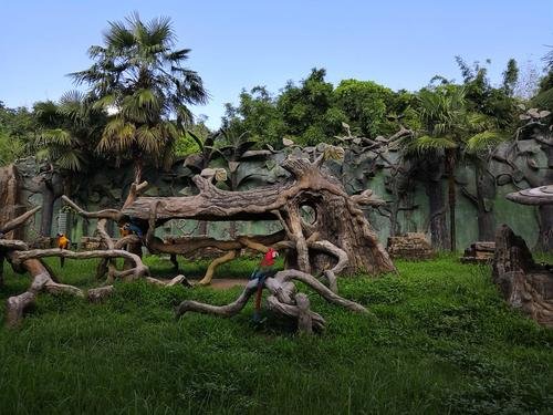 瞒豹事件动物园繁育场增设了2道闸门,增设闸门的目的是什么?