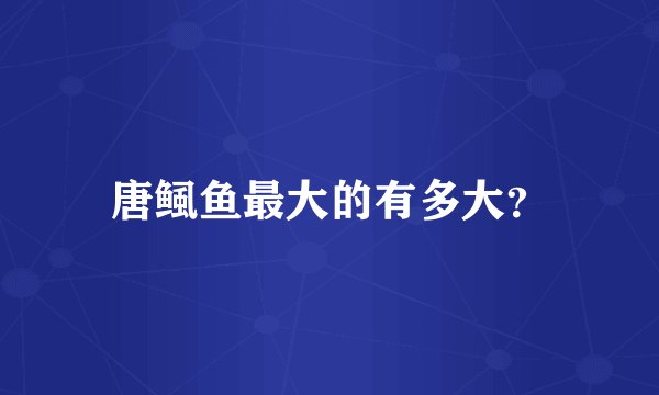 唐鲺鱼最大的有多大？