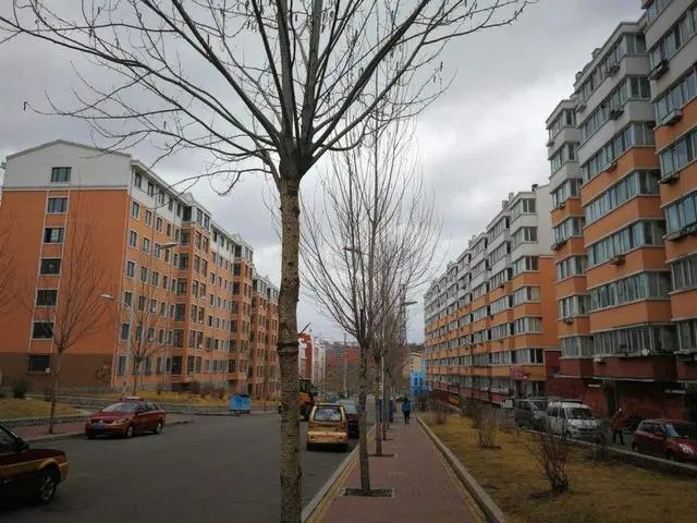 在鹤岗3万买房,几个月后为何2.2万出售?