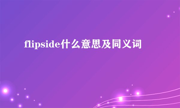 flipside什么意思及同义词