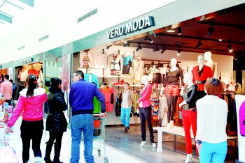 抄码族的特征描述