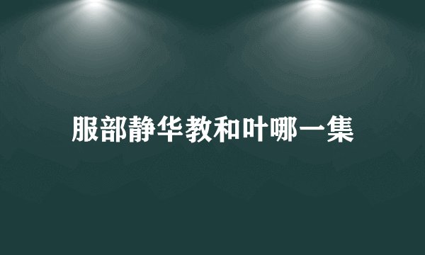 服部静华教和叶哪一集