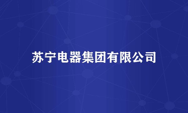 苏宁电器集团有限公司