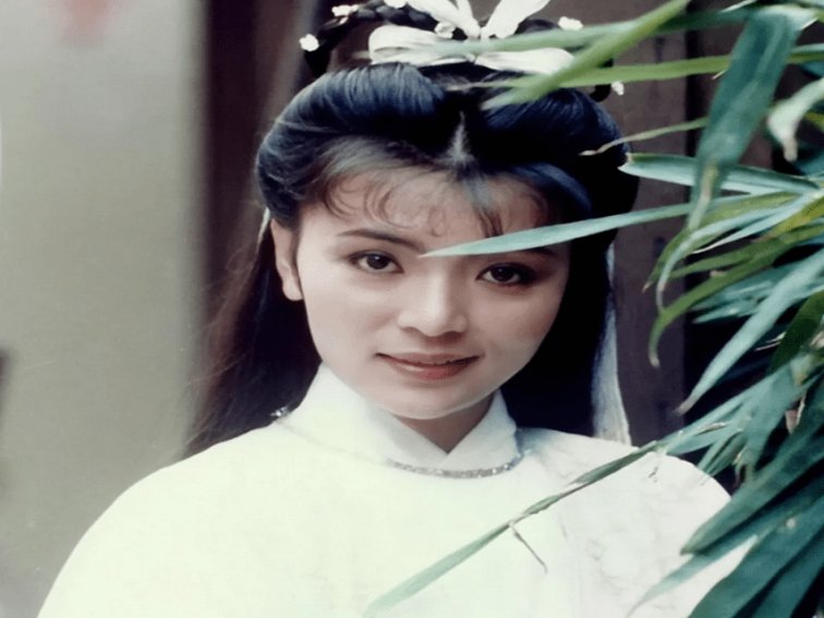 陈玉莲的代表作品