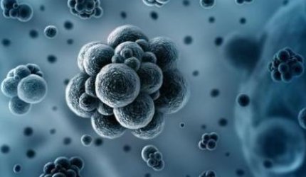 新型冠状病毒英语怎么说？