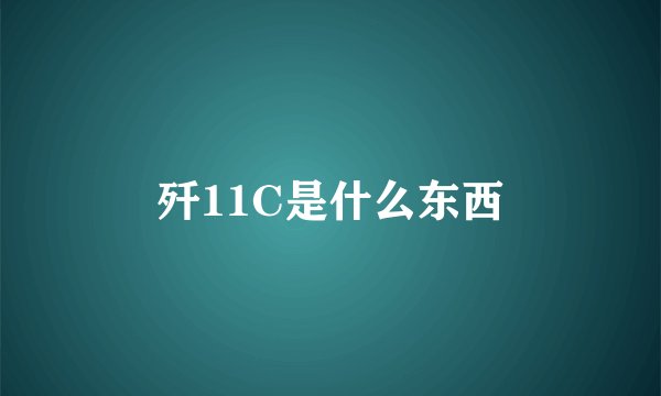 歼11C是什么东西