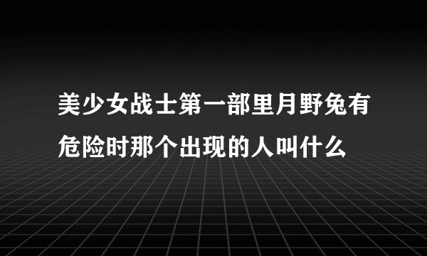 美少女战士第一部里月野兔有危险时那个出现的人叫什么
