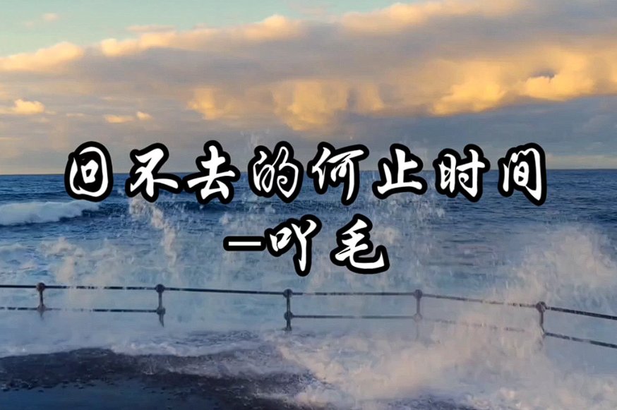 风又起叶落地什么歌