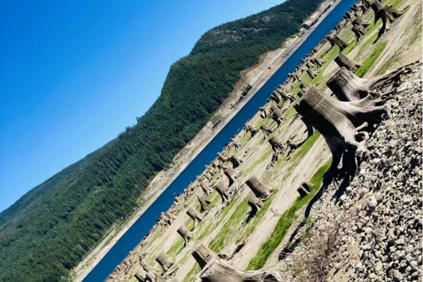 单选题】当前国际社会讨论的全球气候变化问题,主要是指?全球气候温差变化过大