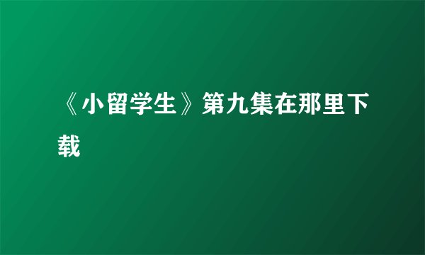 《小留学生》第九集在那里下载