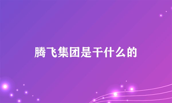 腾飞集团是干什么的