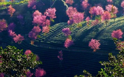 十一月适合去哪里旅游