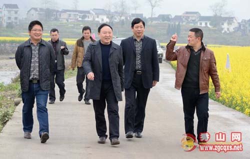 镇元大道的章节目录