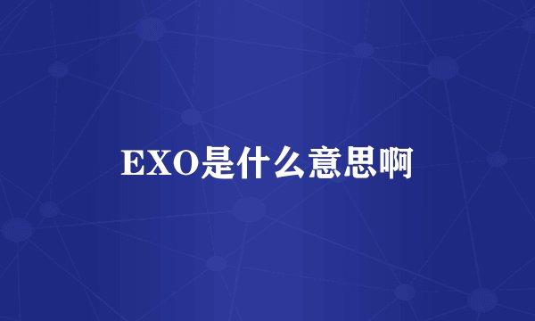 EXO是什么意思啊