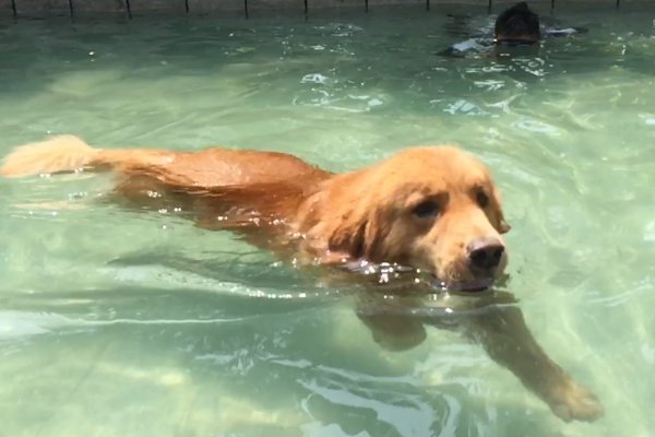 doggystyle什么意思?