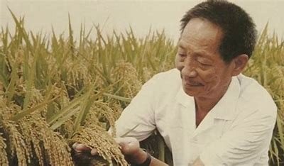 袁隆平爷爷的禾下乘凉梦原话
