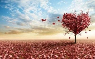 沈月外表被妈妈邱淑贞称赞,你曾做了什么被妈妈称赞过呢?