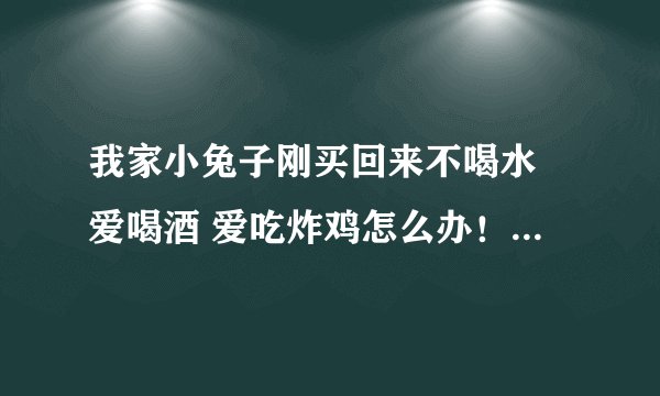 我家小兔子刚买回来不喝水 爱喝酒 爱吃炸鸡怎么办！！！！急天天这样会死吗？