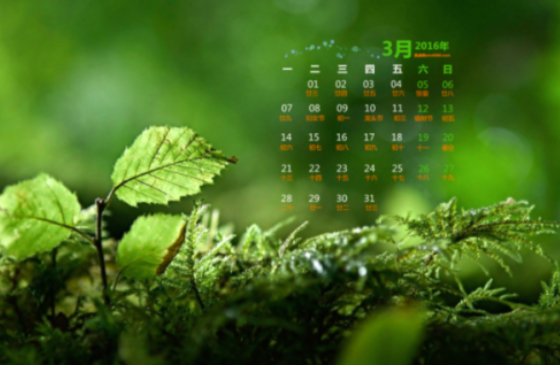 一个自然年是什么意思？6月20日开始，同一自然年内，是到什么时间为止？求解答，拜托了