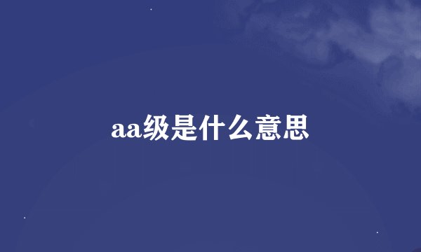 aa级是什么意思