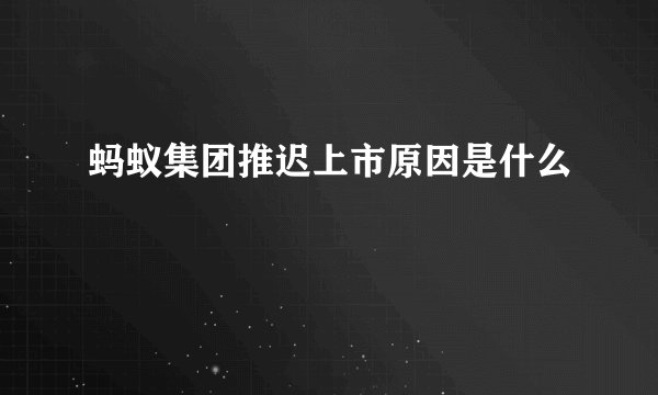 蚂蚁集团推迟上市原因是什么