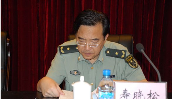 张震将军的儿子是哪几位？