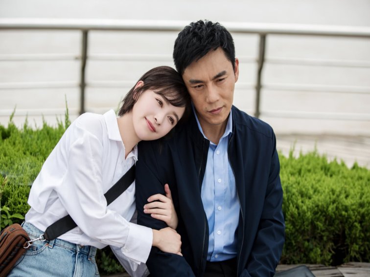 车晓主演的电视剧有哪些