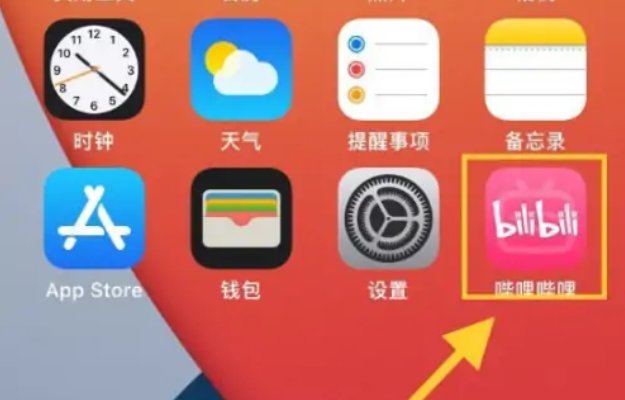 苹果手机怎么上p站