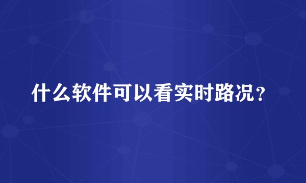 什么软件可以看实时路况？