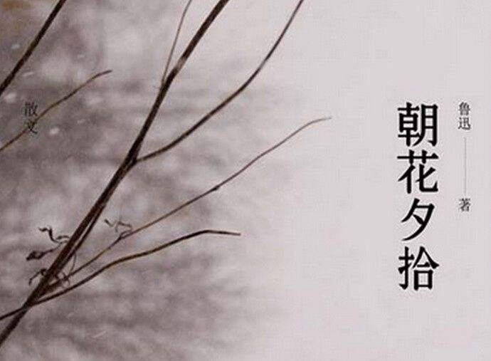 哈特博士读音是什么？