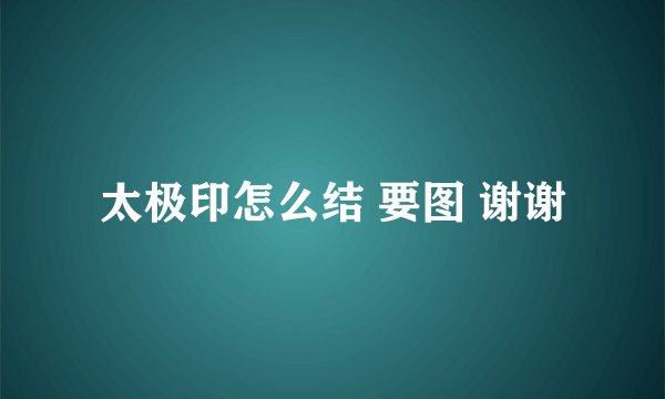 太极印怎么结 要图 谢谢