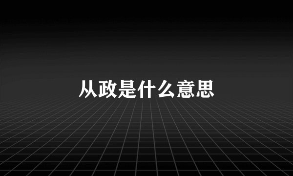 从政是什么意思