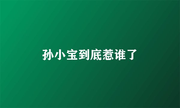 孙小宝到底惹谁了