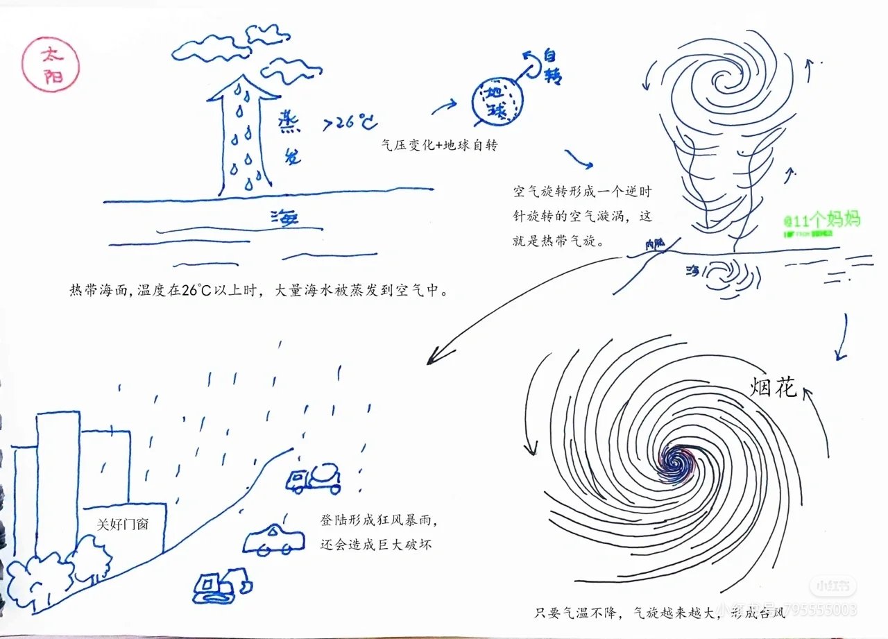 140个台风命名表顺序