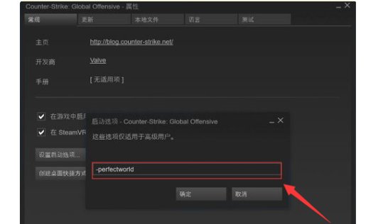 《csgo》国际服启动项是什么?