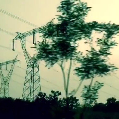 风中叮咛的介绍