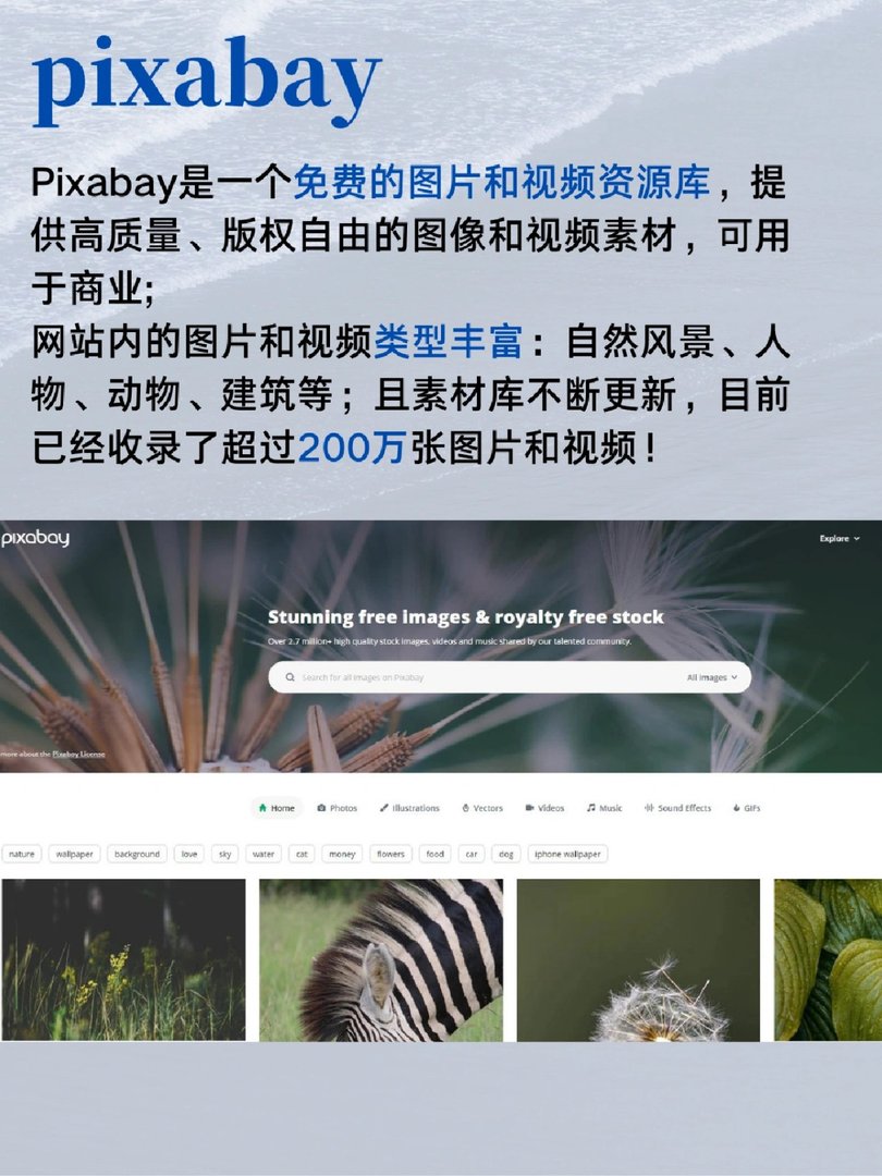 男女大学生不知道的免费网站