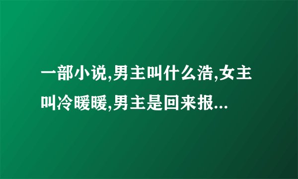 一部小说,男主叫什么浩,女主叫冷暖暖,男主是回来报仇的,杀了女主全家,留下了