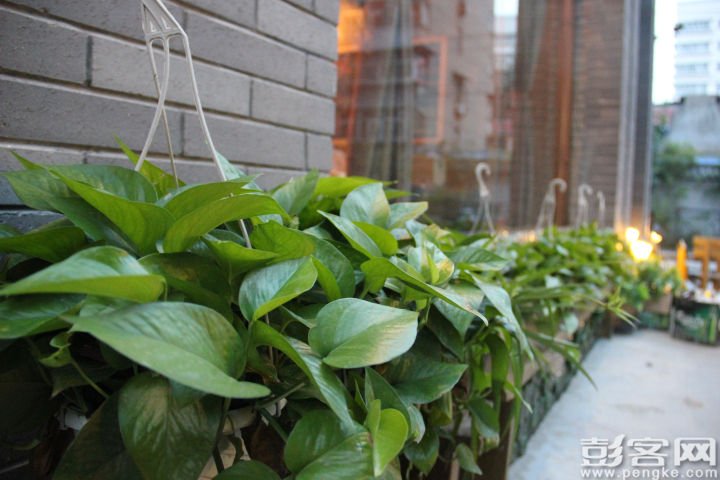 彭客网的网站大事记