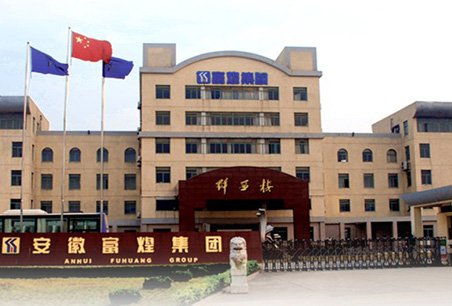 巢东股份的介绍