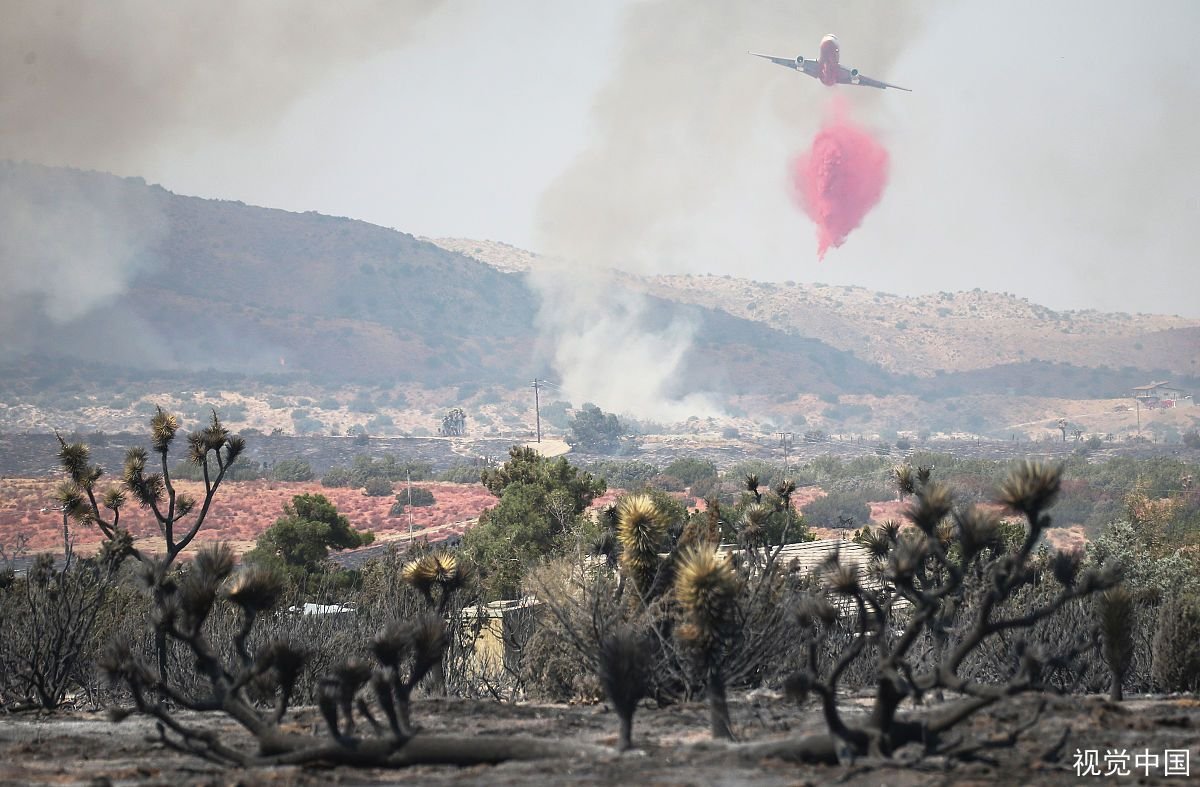 云南一灭火直升机坠入洱海，造成这次事故的原因是什么？