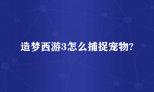 造梦西游3怎么捕捉宠物?