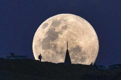 有时落在山腰，有时挂在树梢，有时像个圆盘，有时像把镰刀。求一课文答案
