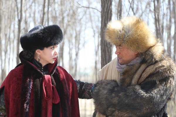 有关土匪的电视剧