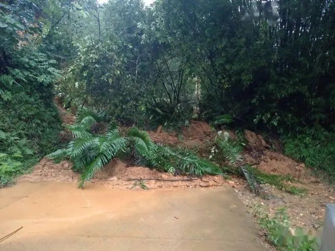 水利部：未来一周我国汛情旱情叠加形势严峻！需要提前做好哪些防范？