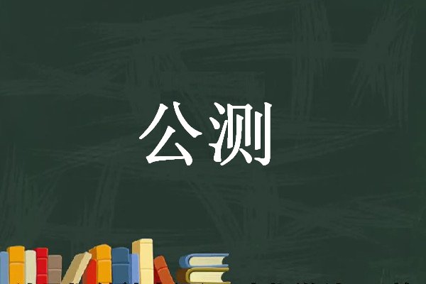 公测是什么意思?